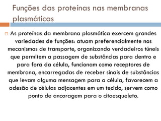 Funções das proteínas nas membranas
    plasmáticas
As proteínas da membrana plasmática exercem grandes
  variedades de funções: atuam preferencialmente nos
mecanismos de transporte, organizando verdadeiros túneis
 que permitem a passagem de substâncias para dentro e
   para fora da célula, funcionam como receptores de
membrana, encarregadas de receber sinais de substâncias
que levam alguma mensagem para a célula, favorecem a
adesão de células adjacentes em um tecido, servem como
        ponto de ancoragem para o citoesqueleto.
 