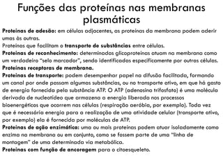 Funções das proteínas nas membranas
                  plasmáticas
Proteínas de adesão: em células adjacentes, as proteínas da membrana podem aderir
umas às outras.
Proteínas que facilitam o transporte de substâncias entre células.
Proteínas de reconhecimento: determinadas glicoproteínas atuam na membrana como
um verdadeiro “selo marcador”, sendo identificadas especificamente por outras células.
Proteínas receptoras de membrana.
Proteínas de transporte: podem desempenhar papel na difusão facilitada, formando
um canal por onde passam algumas substâncias, ou no transporte ativo, em que há gasto
de energia fornecida pela substância ATP. O ATP (adenosina trifosfato) é uma molécula
derivada de nucleotídeo que armazena a energia liberada nos processos
bioenergéticos que ocorrem nas células (respiração aeróbia, por exemplo). Toda vez
que é necessária energia para a realização de uma atividade celular (transporte ativo,
por exemplo) ela é fornecida por moléculas de ATP.
Proteínas de ação enzimática: uma ou mais proteínas podem atuar isoladamente como
enzima na membrana ou em conjunto, como se fossem parte de uma “linha de
montagem” de uma determinada via metabólica.
Proteínas com função de ancoragem para o citoesqueleto.
 