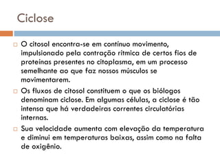 Ciclose
   O citosol encontra-se em contínuo movimento,
    impulsionado pela contração rítmica de certos fios de
    proteínas presentes no citoplasma, em um processo
    semelhante ao que faz nossos músculos se
    movimentarem.
   Os fluxos de citosol constituem o que os biólogos
    denominam ciclose. Em algumas células, a ciclose é tão
    intensa que há verdadeiras correntes circulatórias
    internas.
   Sua velocidade aumenta com elevação da temperatura
    e diminui em temperaturas baixas, assim como na falta
    de oxigênio.
 