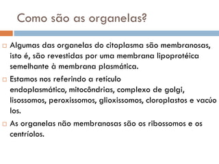 Como são as organelas?
   Algumas das organelas do citoplasma são membranosas,
    isto é, são revestidas por uma membrana lipoprotéica
    semelhante à membrana plasmática.
   Estamos nos referindo a retículo
    endoplasmático, mitocôndrias, complexo de golgi,
    lisossomos, peroxissomos, glioxissomos, cloroplastos e vacúo
    los.
   As organelas não membranosas são os ribossomos e os
    centríolos.
 