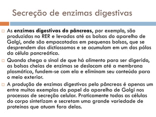 Secreção de enzimas digestivas
   As enzimas digestivas do pâncreas, por exemplo, são
    produzidas no RER e levadas até as bolsas do aparelho de
    Golgi, onde são empacotadas em pequenas bolsas, que se
    desprendem dos dictiossomos e se acumulam em um dos pólos
    da célula pancreática.
   Quando chega o sinal de que há alimento para ser digerido,
    as bolsas cheias de enzimas se deslocam até a membrana
    plasmática, fundem-se com ela e eliminam seu conteúdo para
    o meio exterior.
   A produção de enzimas digestivas pelo pâncreas é apenas um
    entre muitos exemplos do papel do aparelho de Golgi nos
    processos de secreção celular. Praticamente todas as células
    do corpo sintetizam e secretam uma grande variedade de
    proteínas que atuam fora delas.
 