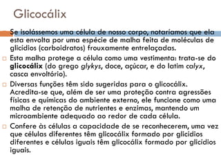 Glicocálix
   Se isolássemos uma célula de nosso corpo, notaríamos que ela
    esta envolta por uma espécie de malha feita de moléculas de
    glicídios (carboidratos) frouxamente entrelaçadas.
   Esta malha protege a célula como uma vestimenta: trata-se do
    glicocálix (do grego glykys, doce, açúcar, e do latim calyx,
    casca envoltório).
   Diversas funções têm sido sugeridas para o glicocálix.
    Acredita-se que, além de ser uma proteção contra agressões
    físicas e químicas do ambiente externo, ele funcione como uma
    malha de retenção de nutrientes e enzimas, mantendo um
    microambiente adequado ao redor de cada célula.
   Confere às células a capacidade de se reconhecerem, uma vez
    que células diferentes têm glicocálix formado por glicídios
    diferentes e células iguais têm glicocálix formado por glicídios
    iguais.
 