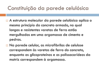 Constituição da parede celulósica
   A estrutura molecular da parede celulósica aplica o
    mesmo princípio do concreto armado, no qual
    longas e resistentes varetas de ferro estão
    mergulhadas em uma argamassa de cimento e
    pedras.
   Na parede celular, as microfibrilas de celulose
    correspondem às varetas de ferro do concreto,
    enquanto as glicoproteínas e os polissacarídeos da
    matriz correspondem à argamassa.
 