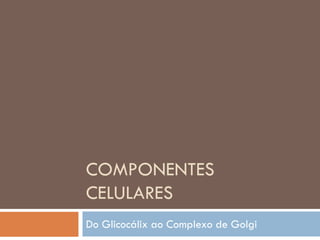 COMPONENTES
CELULARES
Do Glicocálix ao Complexo de Golgi
 