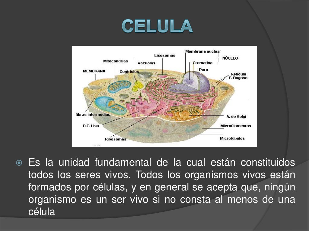 Componentes de la materia viva
