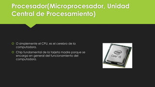 Procesador(Microprocesador, Unidad
Central de Procesamiento)
 O simplemente el CPU, es el cerebro de la
computadora.
 Chip fundamental de la tarjeta madre porque se
encarga en general del funcionamiento del
computadora.
 