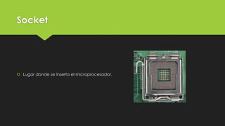 Socket
 Lugar donde se inserta el microprocesador.
 