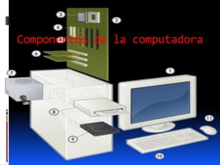 Componentes de la computadora
 