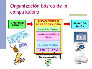 Organización básica de la 
computadora 
UNIDAD CENTRAL 
DE PROCESO (CPU) 
UNIDAD DE 
ENTRADA 
UNIDAD DE 
SALIDA 
Unidad de Control 
Unidad Aritmética y 
lógica 
Memoria Principal 
RAM ROM 
Memoria auxiliar 
 