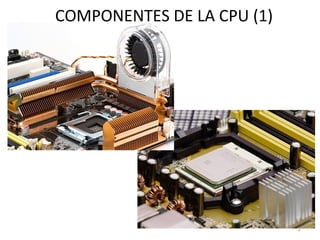 COMPONENTES DE LA CPU (1) 