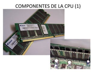 COMPONENTES DE LA CPU (1) 