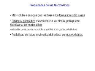 Propiedades de los Nucleósidos
• Más solubles en agua que las bases. En forma libre sólo trazas
• Enlace N-glicosídico es resistente a los alcalis, pero puede
hidrolizarse en medio ácido
nucleósidos purínicos más suceptibles a hidrólisis ácida que los pirimidínicos
• Posibilidad de rotura enzimática del enlace por nucleosidasas
 