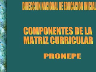 DIRECCION NACIONAL DE EDUCACION INICIAL COMPONENTES DE LA  MATRIZ CURRICULAR PRONEPE 