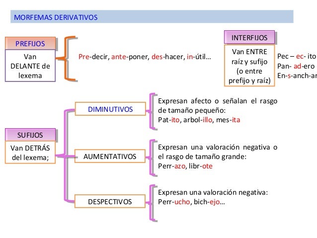 Componentes De La Palabra Procedimientos De Formaci n De Palabras 