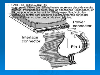 CABLE DE BUS DE DATOS un grupo de cables (en realidad trazos sobre una placa de circuito impreso) transporta los datos, otro las direcciones (ubicaciones) en las que puede encontrarse información específica, y otro las señales de control para asegurar que las diferentes partes del sistema utilizan su ruta compartida sin conflictos.   