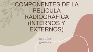 COMPONENTES DE LA
PELICULA
RADIOGRAFICA
(INTERNOS Y
EXTERNOS)
@g.a.p.m09
@adriann.al
 