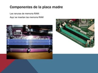 Componentes de la placa madre
Las ranuras de memoria RAM:
Aquí se insertan las memoria RAM
 