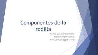 Componentes de la
rodilla
Mariela Cantellan Domínguez
Aldo Ramírez Hernández
María del Rocío López Lobato
 