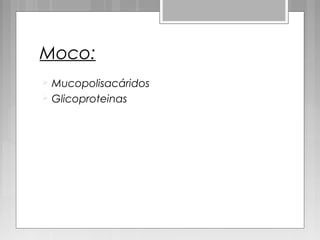 Moco:
 Mucopolisacáridos
 Glicoproteinas
 