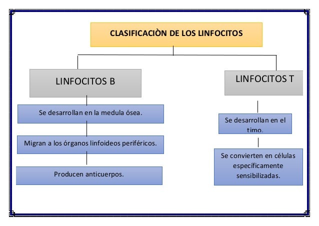 Componentes de la sangre