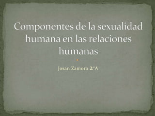 Josan Zamora 2°A
 