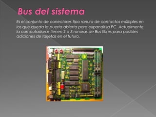 Bus del sistemaEs el conjunto de conectores tipo ranura de contactos múltiples en los que queda la puerta abierta para expandir la PC. Actualmente la computadoras tienen 2 o 3 ranuras de Bus libres para posibles adiciones de tarjetas en el futuro. 