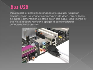 Bus USBEl puerto USB es para conectar accesorios que por fuerza son externos, como un scanner o una cámara de video. Ofrece líneas de datos y alimentación eléctrica en un solo cable. Otra ventaja es que no se necesita reiniciar o apagar la computadora al conectarle los accesorios. 