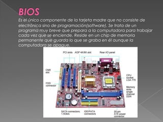 BIOSEs el único componente de la tarjeta madre que no consiste de electrónica sino de programación(software). Se trata de un programa muy breve que prepara a la computadora para trabajar cada vez que se enciende. Reside en un chip de memoria permanente que guarda lo que se graba en él aunque la computadora se apague. 