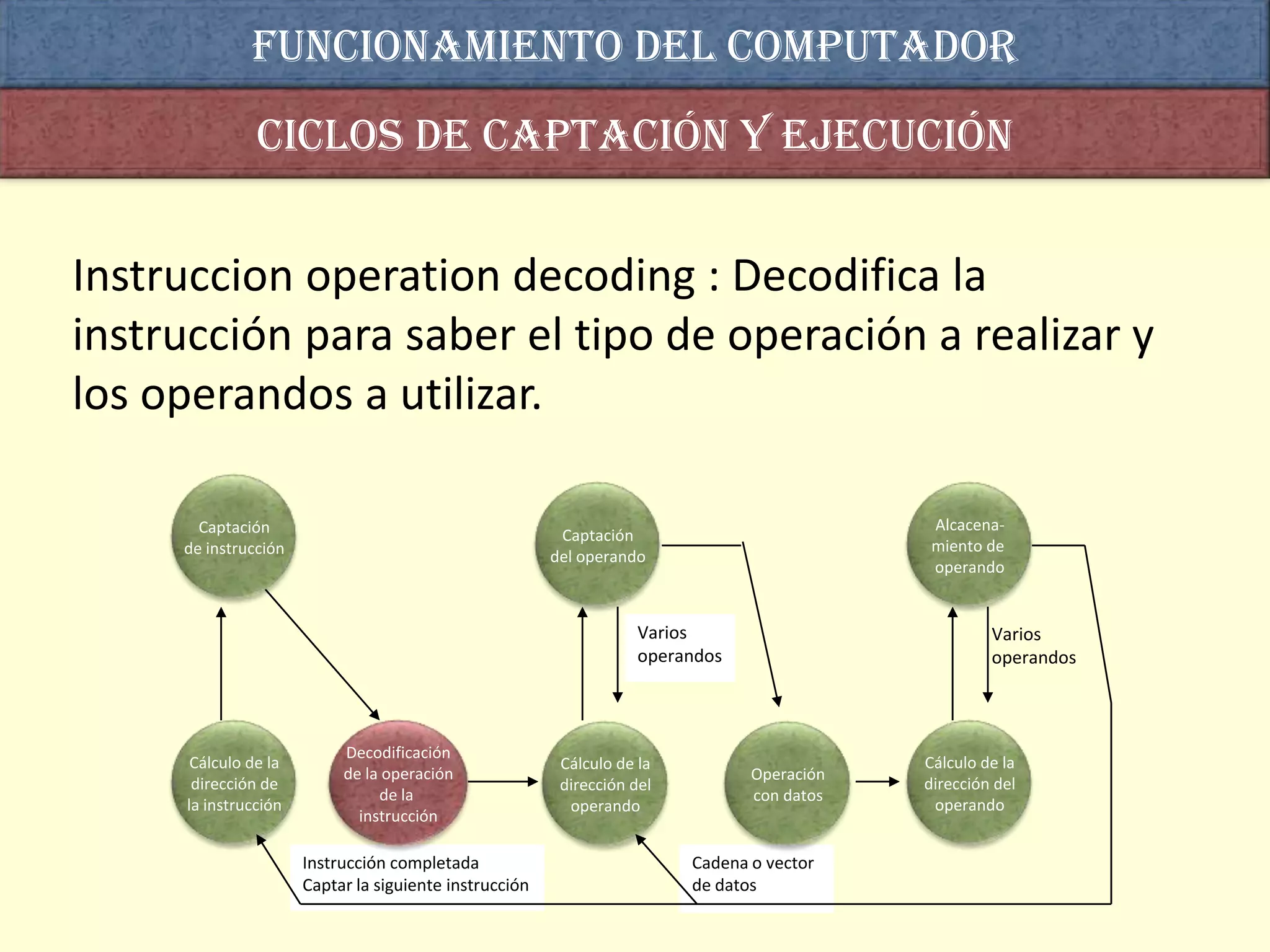 Funcionamiento del computador
               Ciclos de captación y ejecución


Instruccion operation decoding : Decodifica la
instrucción para saber el tipo de operación a realizar y
los operandos a utilizar.

       Captación                                                                             Alcacena-
                                                         Captación
     de instrucción                                                                          miento de
                                                        del operando
                                                                                             operando


                                                                    Varios                           Varios
                                                                    operandos                        operandos



                           Decodificación
      Cálculo de la                                      Cálculo de la                      Cálculo de la
                           de la operación                                      Operación
      dirección de                                       dirección del                      dirección del
                                de la                                           con datos
     la instrucción                                       operando                           operando
                             instrucción

                      Instrucción completada                             Cadena o vector
                      Captar la siguiente instrucción                    de datos
 