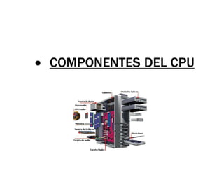  COMPONENTES DEL CPU
 
