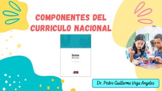COMPONENTES DEL
CURRICULO NACIONAL
Dr. Pedro Guillermo Vega Angeles
 
