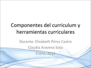Componentes del curriculum y herramientas curriculares Docente: Elizabeth Pérez Castro Claudia Aravena Soto Enero, 2012 