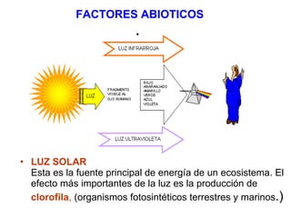 FACTORES ABIOTICOS .   LUZ SOLAR   Esta es la fuente principal de energía de un ecosistema. El efecto más importantes de la luz es la producción de  clorofila ,  (organismos fotosintéticos terrestres y marinos .)  