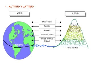 ALTITUD Y LATITUD   