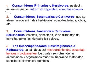 1 . 1.        Consumidores Primarios o Herbívoros , es decir, animales que se  nutren  de vegetales, como los conejos.  2.        Consumidores Secundarios o Carnívoros , que se alimentan de animales herbívoros, como los felinos, lobos, etc.  3.         Consumidores Terciarios o Carnívoros Secundarios , es decir, animales que se alimentan de carroña, como las hienas o los buitres.  4.   Los Descomponedores, Desintegradores o Reductores ,  constituidos por  microorganismos, bacterias, hongos y protozoarios , los cuales se nutren de las excreciones y organismos muertos, liberando materiales sencillos o elementos químicos  