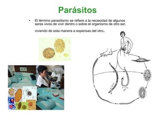Parásitos El término parasitismo se refiere a la necesidad de algunos seres vivos de vivir dentro o sobre el organismo de otro ser, viviendo de esta manera a expensas del otro .   región anal, donde produce picazón o purito anal, irritabilidad e insomnio. Los huevos salen al exterior y pueden contaminar el suelo y los alimentos.    región anal, donde produce picazón o purito anal, irritabilidad e insomnio. Los huevos salen al exterior y pueden contaminar el suelo y los alimentos.    