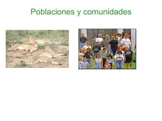 Poblaciones y comunidades 