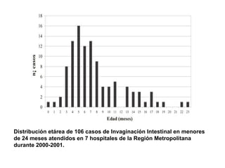 Distribución etárea de 106 casos de Invaginación Intestinal en menores de 24 meses atendidos en 7 hospitales de la Región Metropolitana durante 2000-2001.  