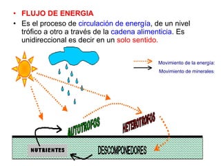 FLUJO DE ENERGIA  Es el proceso de  circulación de energía , de un nivel trófico a otro a través de la  cadena alimenticia . Es unidireccional es decir en un  solo sentido.                 Movimiento de la energía:             Movimiento de minerales :     