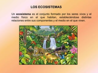 LOS ECOSISTEMAS
Un ecosistema es el conjunto formado por los seres vivos y el
medio físico en el que habitan, estableciéndose distintas
relaciones entre sus componentes y el medio en el que viven.
 