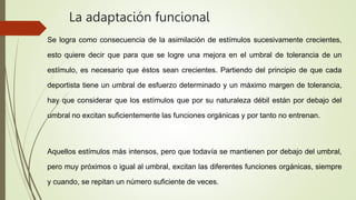 La adaptación funcional
Se logra como consecuencia de la asimilación de estímulos sucesivamente crecientes,
esto quiere decir que para que se logre una mejora en el umbral de tolerancia de un
estímulo, es necesario que éstos sean crecientes. Partiendo del principio de que cada
deportista tiene un umbral de esfuerzo determinado y un máximo margen de tolerancia,
hay que considerar que los estímulos que por su naturaleza débil están por debajo del
umbral no excitan suficientemente las funciones orgánicas y por tanto no entrenan.
Aquellos estímulos más intensos, pero que todavía se mantienen por debajo del umbral,
pero muy próximos o igual al umbral, excitan las diferentes funciones orgánicas, siempre
y cuando, se repitan un número suficiente de veces.
 