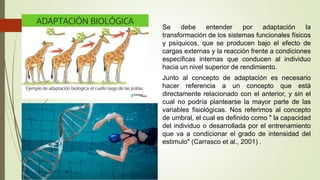 Se debe entender por adaptación la
transformación de los sistemas funcionales físicos
y psíquicos, que se producen bajo el efecto de
cargas externas y la reacción frente a condiciones
especificas internas que conducen al individuo
hacia un nivel superior de rendimiento.
Junto al concepto de adaptación es necesario
hacer referencia a un concepto que está
directamente relacionado con el anterior, y sin el
cual no podría plantearse la mayor parte de las
variables fisiológicas. Nos referimos al concepto
de umbral, el cual es definido como " la capacidad
del individuo o desarrollada por el entrenamiento
que va a condicionar el grado de intensidad del
estimulo" (Carrasco et al., 2001) .
 