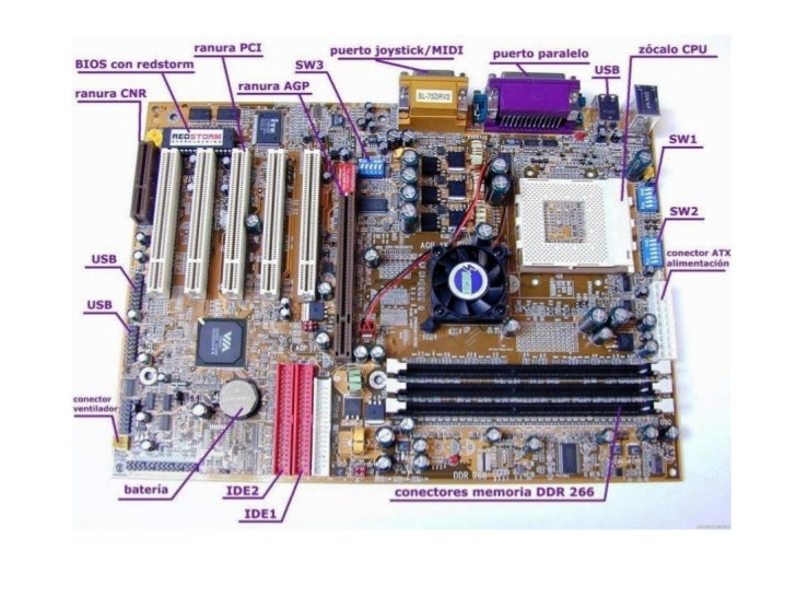 Componentes Del Interior Del Gabinete
