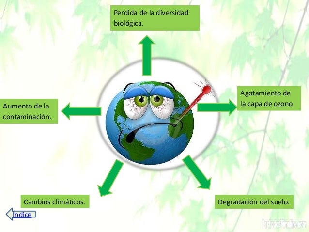 Resultado de imagen para medio ambiente organizador