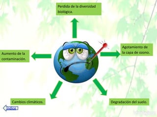 Perdida de la diversidad
biológica.
Agotamiento de
la capa de ozono.Aumento de la
contaminación.
Degradación del suelo.Cambios climáticos.
Índice
 
