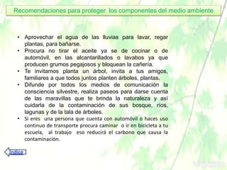 • Aprovechar el agua de las lluvias para lavar, regar
plantas, para bañarse.
• Procura no tirar el aceite ya se de cocinar o de
automóvil, en las alcantarillados o lavabos ya que
producen grumos pegajosos y bloquean la cañería.
• Te invitamos planta un árbol, invita a tus amigos,
familiares a que todos juntos planten árboles, plantas.
• Difunde por todos los medios de comunicación la
consciencia silvestre, realiza paseos para darse cuenta
de las maravillas que te brinda la naturaleza y así
cuidarla de la contaminación de sus bosque, ríos,
lagunas y de la tala de árboles.
• Si eres una persona que cuenta con automóvil o haces uso
continuo de transporte procura caminar o ir en bicicleta a tu
escuela, al trabajo eso reducirá el carbono que causa la
contaminación.
Recomendaciones para proteger los componentes del medio ambiente
Índice
 