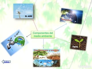 Componentes del
medio ambiente
Índice
 