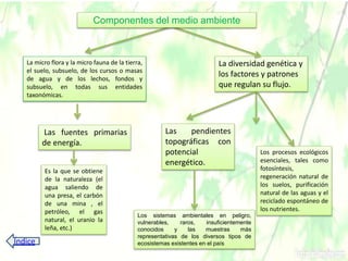 La micro flora y la micro fauna de la tierra,
el suelo, subsuelo, de los cursos o masas
de agua y de los lechos, fondos y
subsuelo, en todas sus entidades
taxonómicas.
La diversidad genética y
los factores y patrones
que regulan su flujo.
Las fuentes primarias
de energía.
Es la que se obtiene
de la naturaleza (el
agua saliendo de
una presa, el carbón
de una mina , el
petróleo, el gas
natural, el uranio la
leña, etc.)
Las pendientes
topográficas con
potencial
energético.
Los procesos ecológicos
esenciales, tales como
fotosíntesis,
regeneración natural de
los suelos, purificación
natural de las aguas y el
reciclado espontáneo de
los nutrientes.
Los sistemas ambientales en peligro,
vulnerables, raros, insuficientemente
conocidos y las muestras más
representativas de los diversos tipos de
ecosistemas existentes en el país
Componentes del medio ambiente
Índice
 