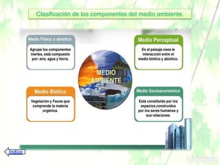 Clasificación de los componentes del medio ambiente.
Índice
 