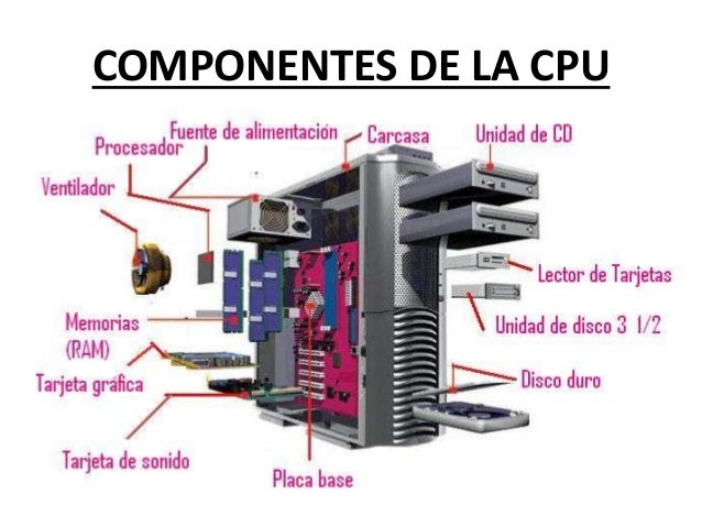 Componentes del ordenador